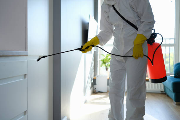 Best Office Mold Removal Services  in South Burlington, VT