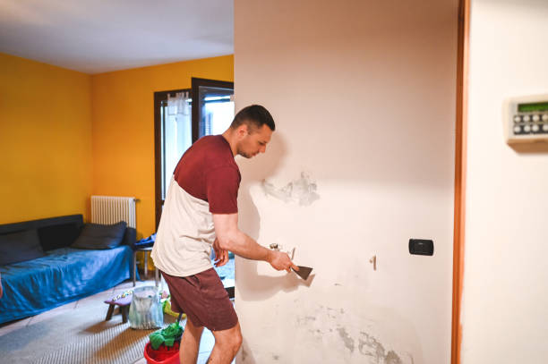 Best Affordable Mold Removal  in South Burlington, VT